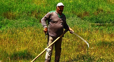 Tırpanın son ustası