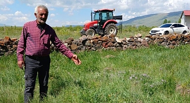 Unutulan kahramanın mezarı sessizliğe gömüldü