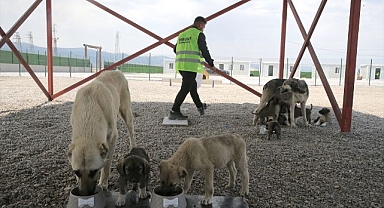 Valilikten örnek çalışma...