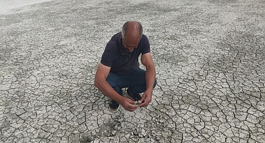Yağışların azlığı nedeniyle kurudu