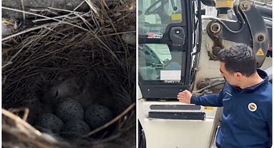 Yuvaları bozulmasın diye çalışmalar durduruldu