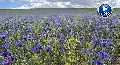 Zirveler mor ve maviye büründü