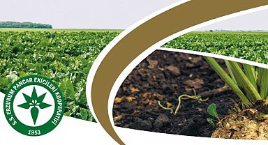 OLAĞAN GENEL KURUL İPTALİ