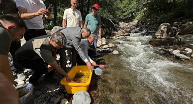 20 bin alabalık yavrusu dereye bırakıldı