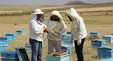 2025 yılında bin 800 ton bal rekoltesi beklentisi