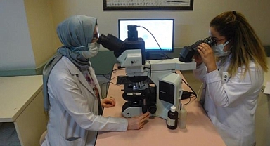 350 milyondan fazla kişi hepatit ile yaşıyor