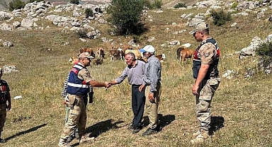 4 gündür kayıp hayvanları jandarma buldu