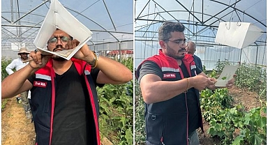 Akdeniz meyve sineğine karşı mücadele