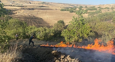 Anız yangını bahçelere sıçradı