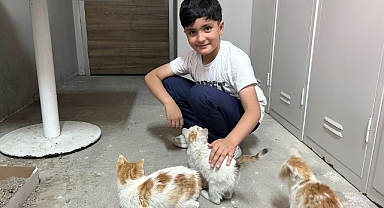 Anneleri ölen yavrulara sahip çıktılar