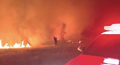 Arazi yangını büyümeden söndürüldü