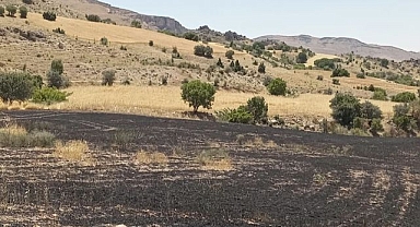 Arazi yangınında arpa tarlası kül oldu