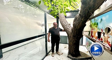 Asırlık ceviz ağacı iş yerinin ortasında yaşatılıyor