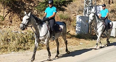 Atlı jandarma timi devriye yaptı