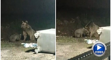 Ayıyı kaydederken saldırısından son anda kurtuldu
