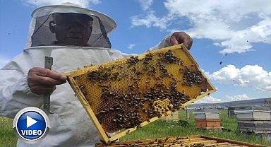 Bal üreticilerine uyarı!
