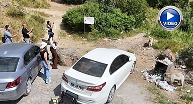 Bozayılar dronla görüntülendi