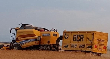 Buğday hasadı başladı