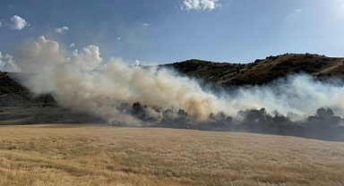 Buğday tarlasında yangın!