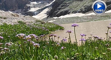 Cilo Dağı'nda buzullar hızla eriyor