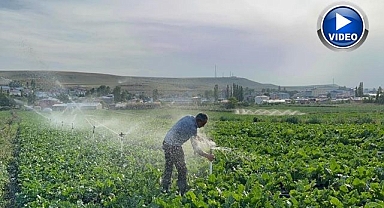 Çocukları okusun diye çiftçilik yapıyor