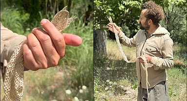Doğa gözlemcisi öğretmen zehirli yılan derisi buldu