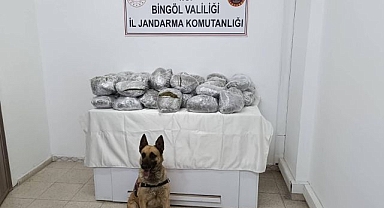 Ekipler kaçakçılığa göz açtırmadı