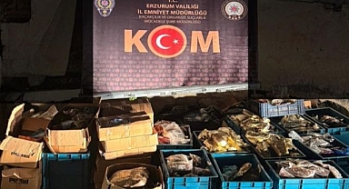 Erzurum'da kaçakçılık operasyonu
