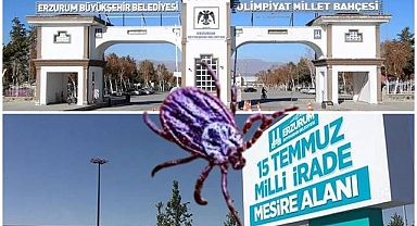 Erzurum'da kene alarmı!  Belediye ekipleri harekete geçti 