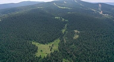 Erzurum'da ormanlık alanlara girişler 30 Ekim'e kadar yasaklandı