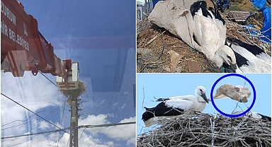 Poşet kıskacındaki leyleği Erzurum itfaiye ekipleri kurtardı