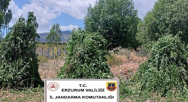 Erzurum'da uyuşturucu operasyonu