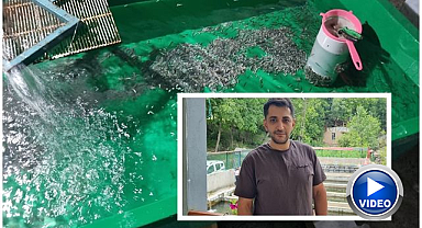 Erzurum'da yüzbinlerce balık telef oldu! İşletmeci şikayetçi...