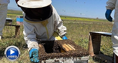 Gençlere ve emeklilere arıcılık yapın önerisi