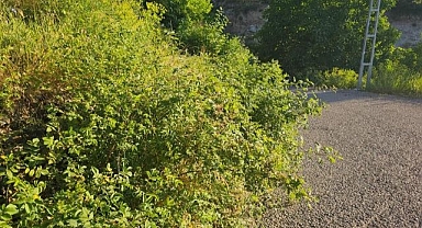 Görüş mesafesini daraltan tehlike!