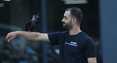 Hayatını kurtardığı karga ile dost oldu