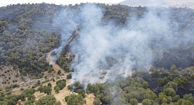 İlçedeki orman yangını söndürüldü