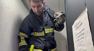 İtfaiyeden kedi kurtarma operasyonu