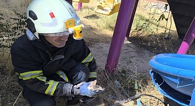 İtfaiyeden kedi kurtarma operasyonu