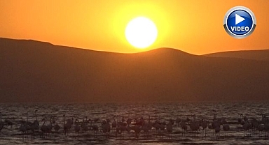 İzleyenlere görsel şölen sundu