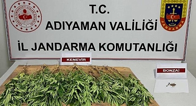 Jandarma uyuşturucu operasyonu
