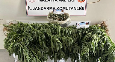 Jandarmadan uyuşturucu operasyonu