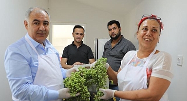 Kadın çiftçiler tarımsal yeniliklerle buluşuyor
