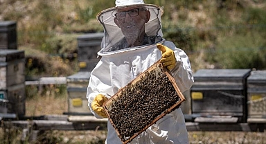 Kanseri yenen Mehmet dede ikinci baharını arılarla yaşıyor