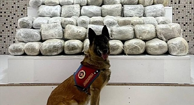 Katırlarla uyuşturucu ticareti!