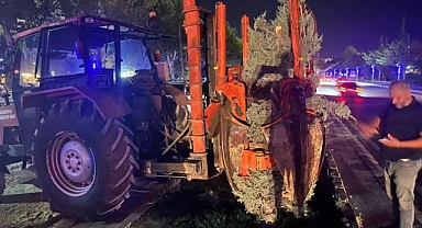 Kavşak çalışmasında ağaçlara özel koruma