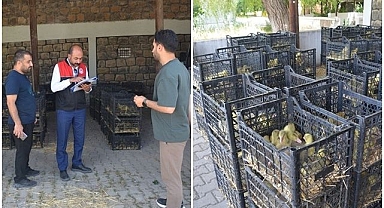 Kaz Yetiştiriciliği projesi kapsamında kaz yavrusu dağıtıldı