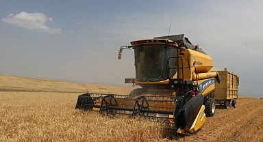 Kentin Valisi biçerdövere binerek hasat yaptı