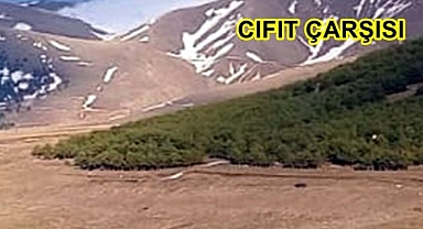 Kuş oldu dağa kondu!