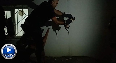 Lavabo borusuna sıkıştı! Ekipler seferber oldu